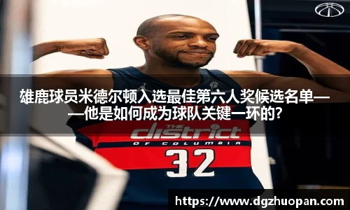 yy体育