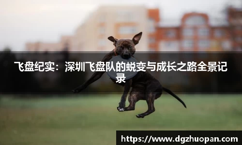 yy易游体育